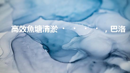 高效魚塘清淤，巴洛仕設(shè)備助力生態(tài)養(yǎng)殖